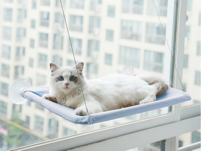 Witte kat ligt op de lichtblauwe kattenhangmat aan het raam